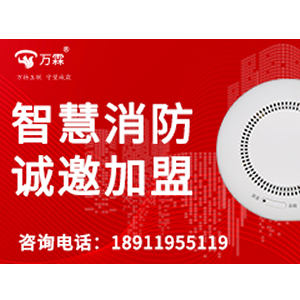 heat test cartridge without chemical reaction - China Made Smoke Detector Tester Alternative | Wanli-Centro de productos-Wanlin Equipos Contra Incendios-Fabricante chino de detección de incendios inalámbrica